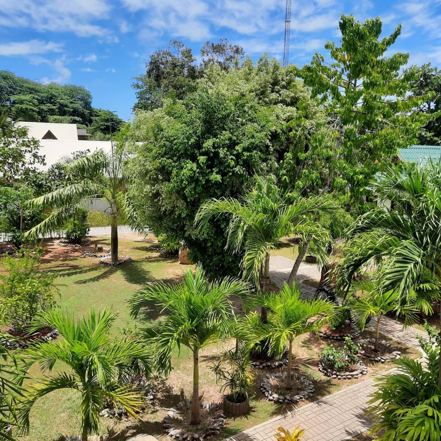 Chalets D'Anse Reunion ラ・ディーグ島 部屋 写真